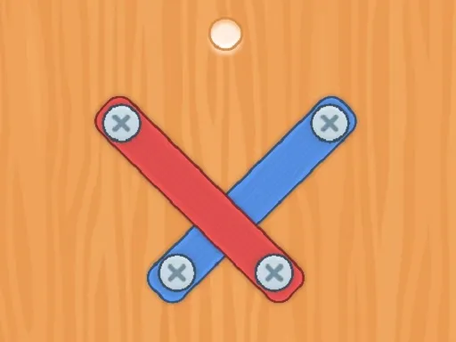 Nuts Bolts Screw Puzzle